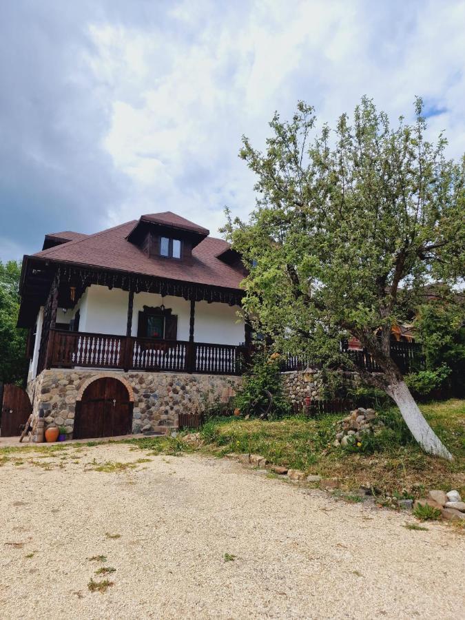 Willa Casa Cu Cerdac Nucşoara Zewnętrze zdjęcie
